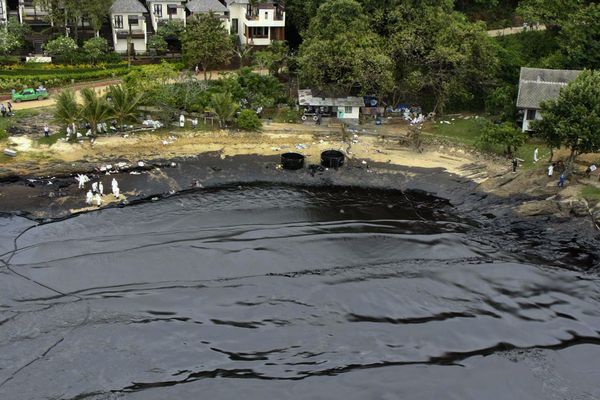 energy-thailand-oil-spill-after_69857_600x450